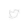 X (Twitter)