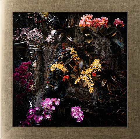 Tropical Forest