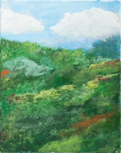 A Meadow of Solace