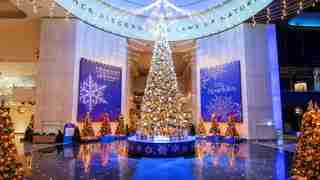 The 40-foot-tall Grand Tree decorated for the holidays and standing in the Museum Rotunda.