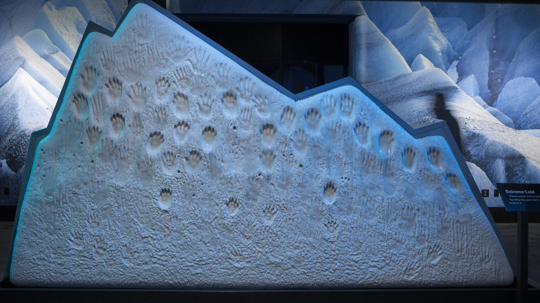 csm_ExtremeIce_IceWall_001_ae45ede0b6