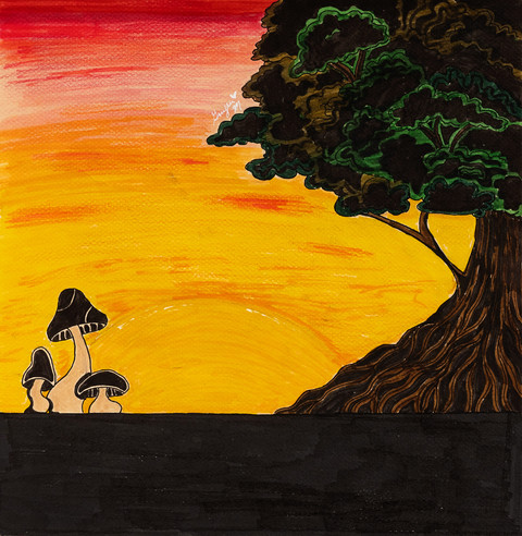 BIRTHLAND
