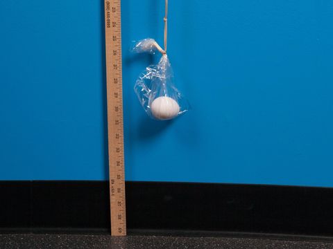csm_EggBungee_fd2b568e3b.jpg csm_EggBungee_fd2b568e3b.jpg