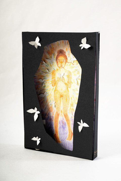 Butterfly Box
